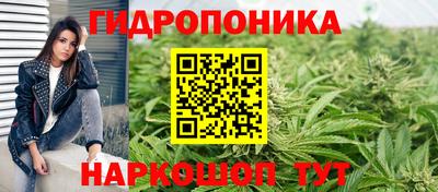 СК Волгодонск