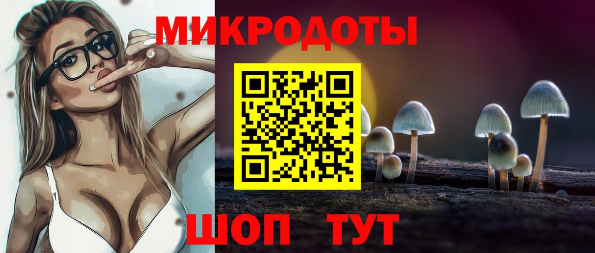 Псилоцибиновые грибы MAGIC MUSHROOMS  Вход с VPN  Псилоцибиновые грибы GOLDEN TEACHER  Королёв 