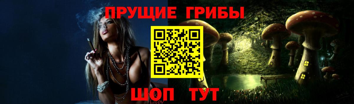 Псилоцибиновые грибы Psilocybine cubensis Королёв